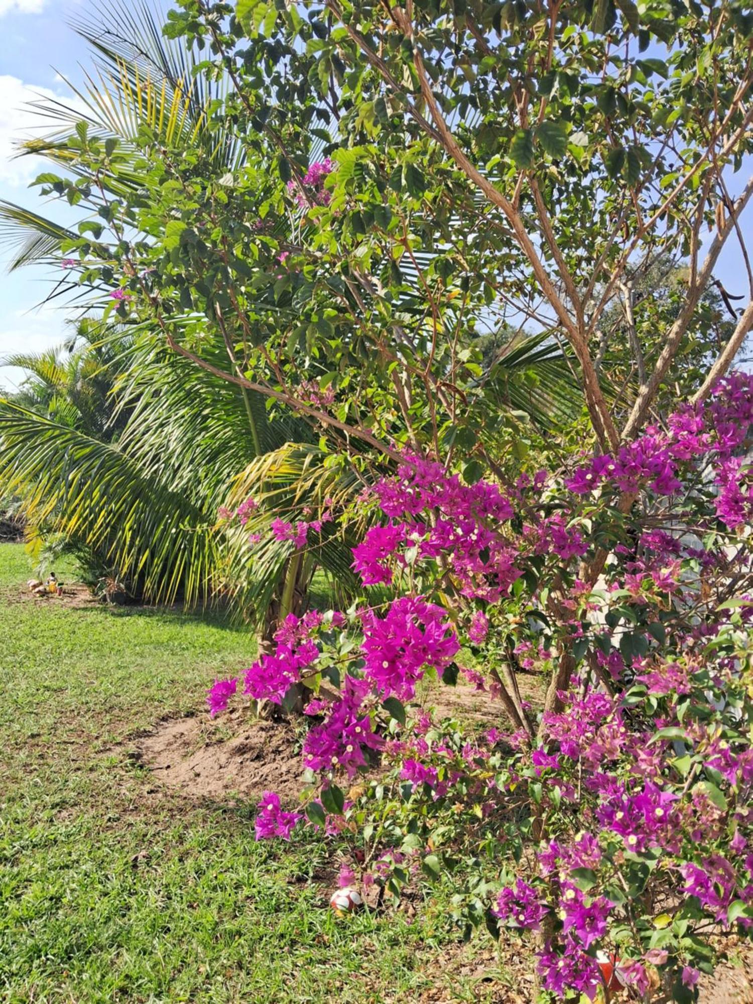 Pouso Zen Villa Araruama Exterior foto